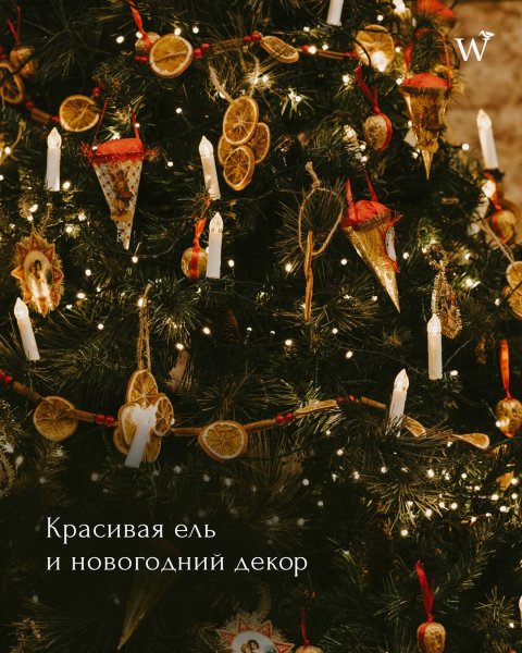 Новый год в парк-отеле WOOD WOOD WOOD